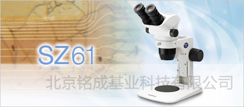 体视显微镜SZ61-60-SET | 北京体视显微镜SZ61-60-SET价格参数